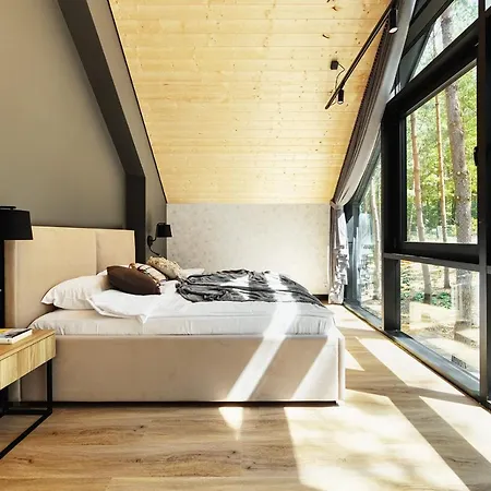 Miedzy Drzewami 奥尔什丁