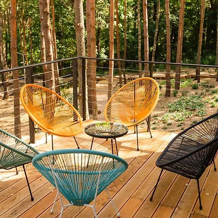 Miedzy Drzewami 度假居 奥尔什丁